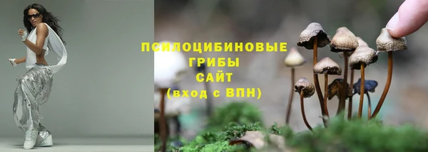 гидропоника Арсеньев