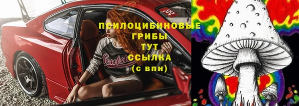 мдпв Покровск