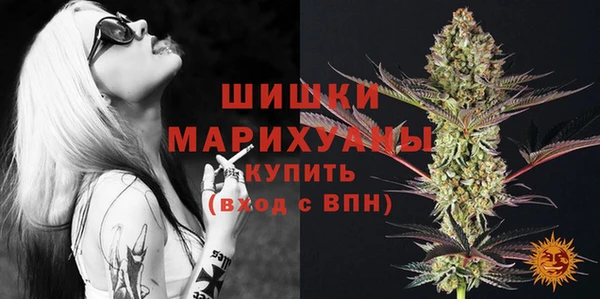 мдпв Покровск